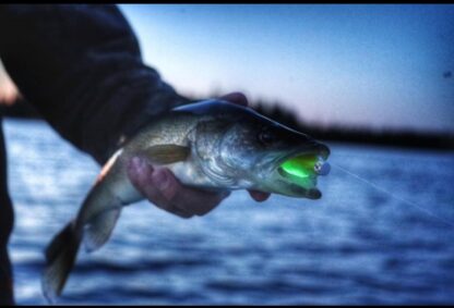 RATTLE PADDLE & FEISTY FRY GLOW STICKS - Image 2